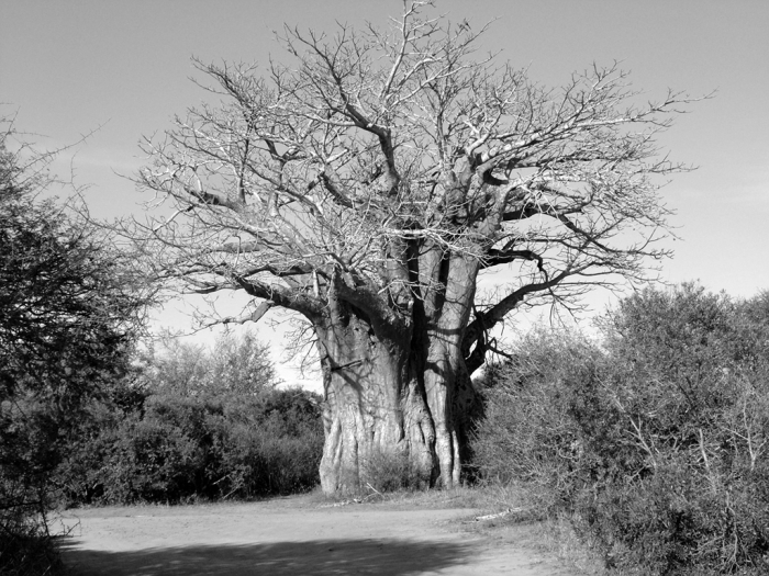 왜 조용기목사님 밑에는 큰 사역자가 나오나