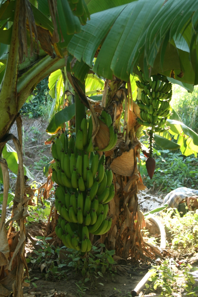 한 사람밖에 안보인다