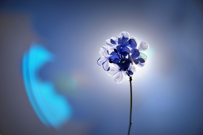 추장의 시대를 말하다 1 <신앙으로 포장된 예의 없음과 상식 없음>