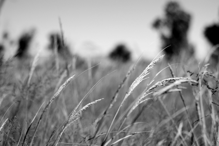 믿음이 유지 되지 않는 이유