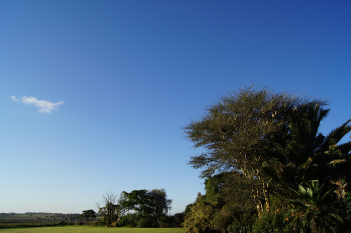 성령에 이끌리어
