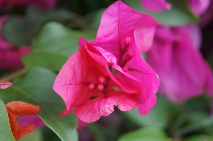 세상에서 가장 무서운 것