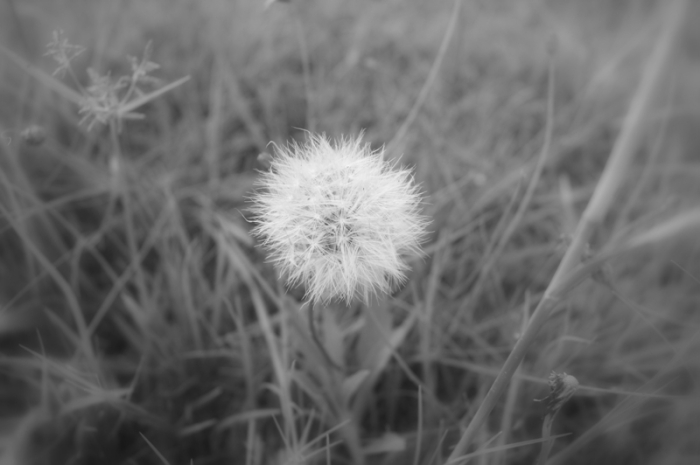 성령의 법칙 3 - 부인의 법칙