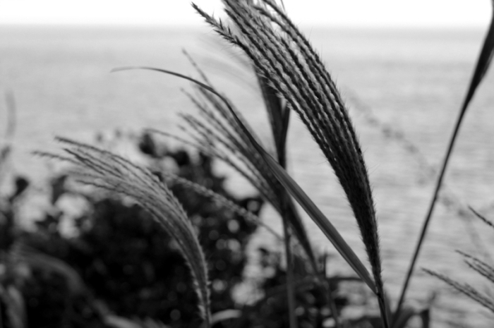 성령의 법칙 5 - 하나됨의 법칙