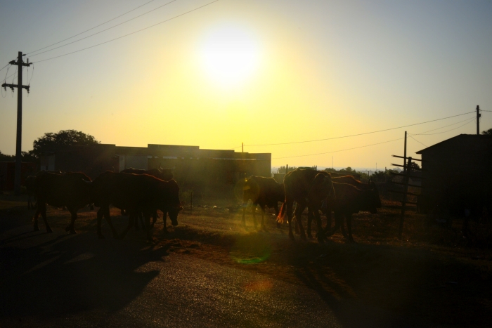 추장의 시대를 말한다 12 <영웅적 사고에서 벗어나야 합니다>