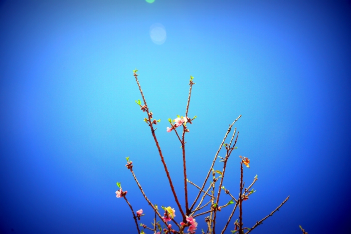 <예수를 믿는 삶>