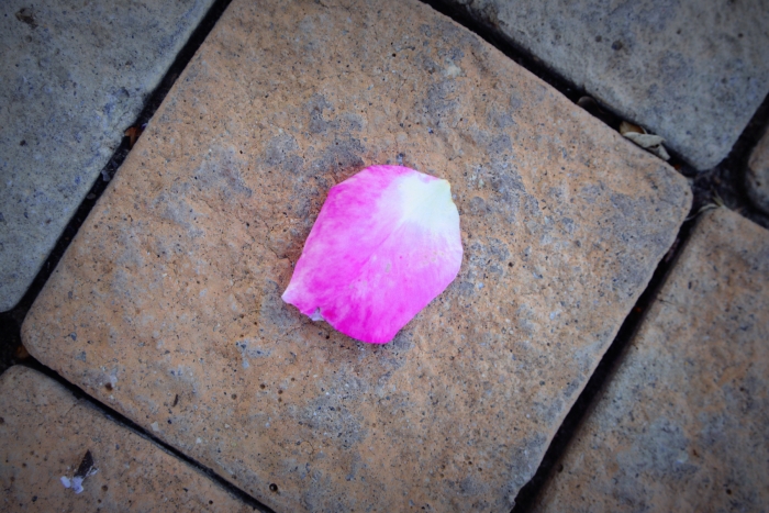 <하나님 나라 2>