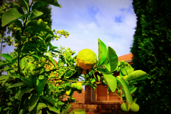 <내가 만들어 내는 것이 곧 나다>