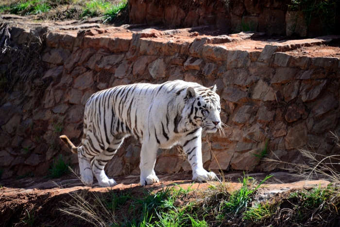 <마음이 아프다 그리고 감사하다>