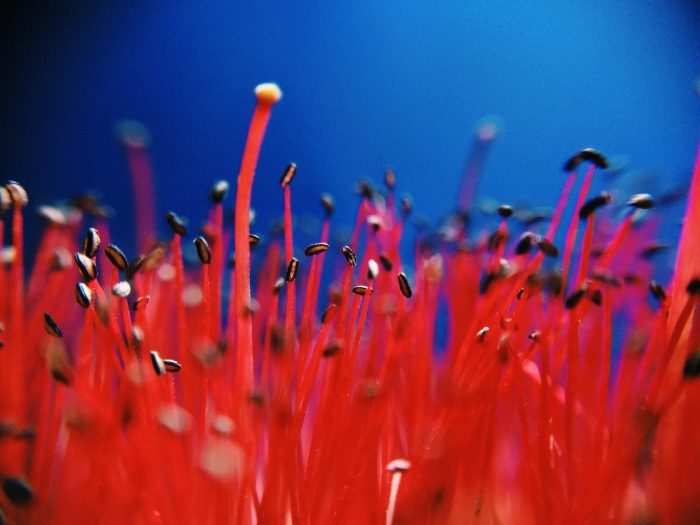 <고난.. 부끄러움>