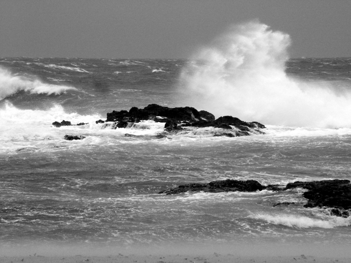 믿게 하려 하지 말라